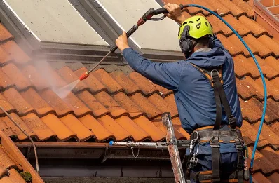 Démoussage et hydrofuge de toiture à Bourboule